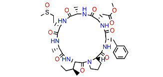 Phakellistatin 14